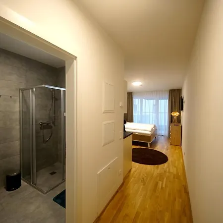 Bed and breakfast Modern In The City Centre Of Wels